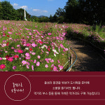 추억의 섬, 돝섬에서 열리는 뮤직 인 창원