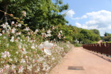 [만보기] (16) 창원 마산합포구 돝섬