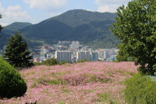 [만보기] (16) 창원 마산합포구 돝섬