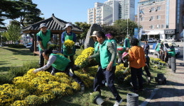 새마을운동 합천군지회 가을꽃 식재