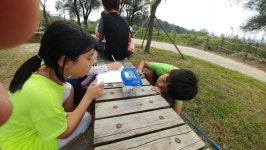 각양각색 곤충·식물 이리 보고 저리 보고