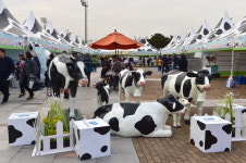 젖과 꿀이 흐르는 경남 특산물 축제 잇따라