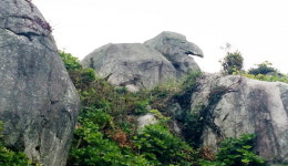 거제에 문재인 대통령 키워낸 바위가 있다?