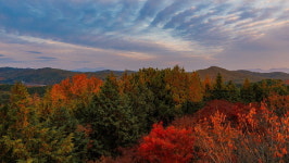 [디스커버 진주]늦가을 설렘