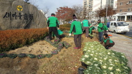 새마을운동합천군지회 겨울 꽃 심기
