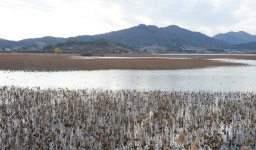 창원 주남저수지 탐방시설·재두루미 쉼터 재검토 요구