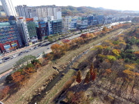 경상대 앞 가좌천 일대 홍대 거리된다