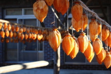 덕천강 따라 남명 숨결 따라, 산청 시천면 나들이