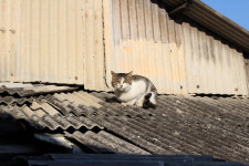 [만보기] (20) 진주 옥봉동