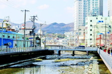 [만보기] (22) 마산 회원천