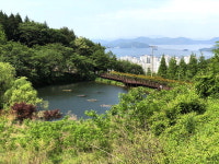 녹색 향연으로 초대합니다 진해만 생태숲 미리 걷기