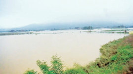 하루새 내린 비, 마을 지도를 바꿨다