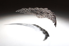 김해-안산 지역미술계 트렌드는?