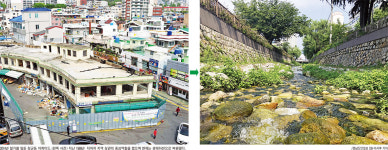 [느낌여행] (7) 창원시 마산합포구 장군천 산책