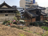 [꽃대궐사람들] (8) 그리고 남은 이야기