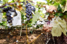 폭염 잠깐이라도 식히자 소방차도 동원