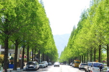 [창원사격선구권대회 화보] 창원의 명소(Changwon Tourist Hot Spots)