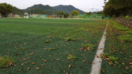 함양 휴천면 인조잔디 축구장에 잡초만 무성