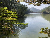 미리 가본 팔룡산걷기대회