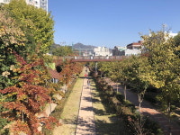 제6회 임항선 그린웨이 라디엔티어링 미리 걷기