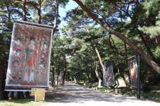 무풍한송길 가장 아름다운 숲 선정