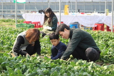 창원컬처랩 로컬푸드 팝업식당 비닐하우스 브런치 참가기