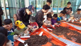 산청 도산초 학생들 함양 산삼주제관 견학