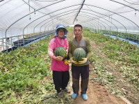 합천 은혜농장 권오환 대표 수박 900통 기부