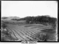 가는 길도 없고 아는 이도 드물었던 가야국 옛터