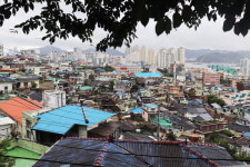 빼곡한 집과 골목 사이 꽃피운 마산 문화자산