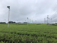 즐길거리 잘 덖어야 브랜드 가치가 우러난다