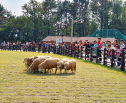 함안다문화가족지원센터 동물원 나들이