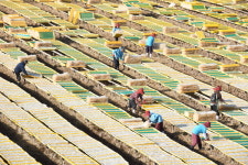 밀양에서는 한천 말리기 한창