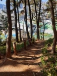 창원 회원1동, 반월산 산책로 시설 정비