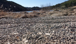 천연기념물 대평늪에 폐골재 파묻은 함안군