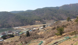 불어난 냇물에 징검다리 나타나게 한 선비의 글