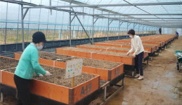 양산농업기술센터 공영 도시농업 농장 개장