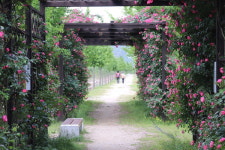 징검다리 지나 아담한 언덕 오르면…아, 좋은 곳이네요