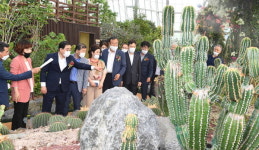 국내 최대 선인장 온실 창원수목원 개장