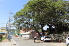 용 살던 못에서 내려온 물줄기 바다 되었네