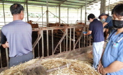 거창군-수의사회 거창분회 가축 무료 진료