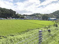 발전소·매립지·제철소 사이, 묘하고 아름다운 바다