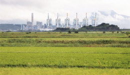 발전소·매립지·제철소 사이, 묘하고 아름다운 바다