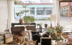 멸치만 떠올리면 섭섭…젊은 취향 입은 옛 거리