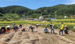 남해군농업기술센터, 농촌일손돕기 진행