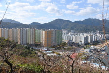 창원 의창구 열풍 속 마산합포구는 인기 시들