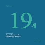 19개