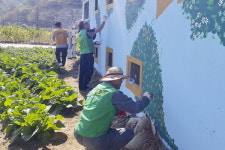 낡은 마을 벽에 알록달록 꽃 피었네