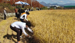 환경과 농업 중요성 깨달아요