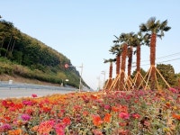 거제 일운면 꽃동산 조성